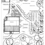 Edible landscape and forest garden, northeastern USA