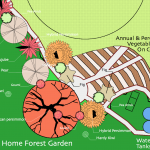 Home forest garden, Housatonic watershed, USA