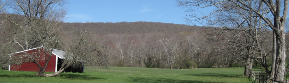 AAF_Lower_Fields